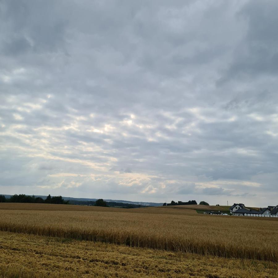 Sowi Dworek Sychowo 외부 사진